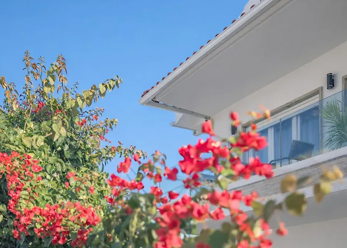 Gold Coast Photography Cascais 埃斯托利尔